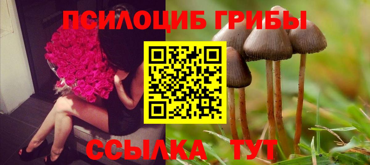 Лсд 25 Сокол